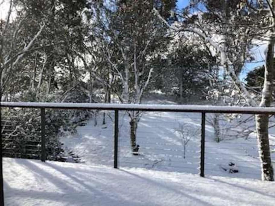 Narrow Neck Views - Peaceful 4 Bedroom Home With Stunning Views! Катумба Екстер'єр фото